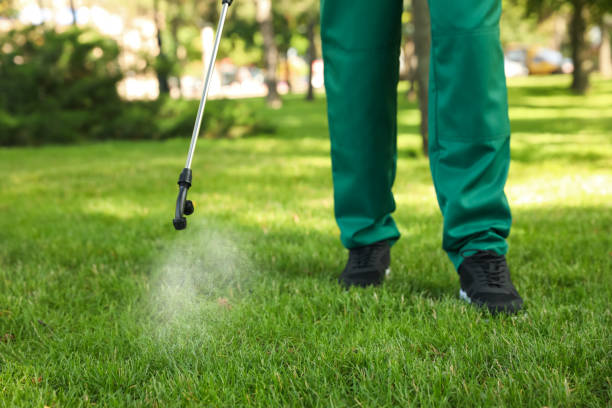Best Flea Control Services  in St Marys, OH