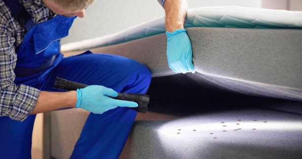 Best Best Pest Control Companies  in St Marys, OH