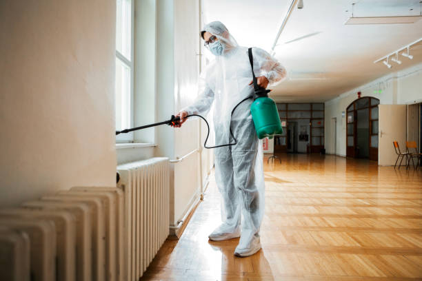 Best Pest Prevention Services  in St Marys, OH