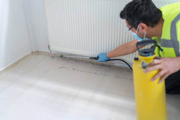 Best Commercial Pest Control Services  in St Marys, OH