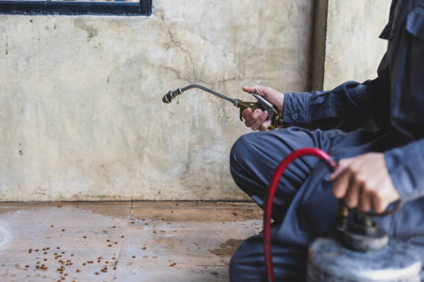 Pest Control Cost in St Marys, OH